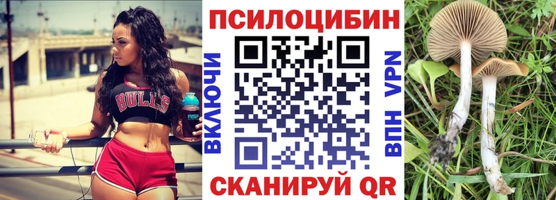Купить где  Губаха  Галлюциногенные грибы Cubensis 